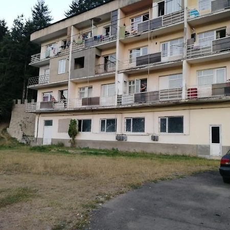 Alena'S Flat Apartment Боржоми Екстериор снимка