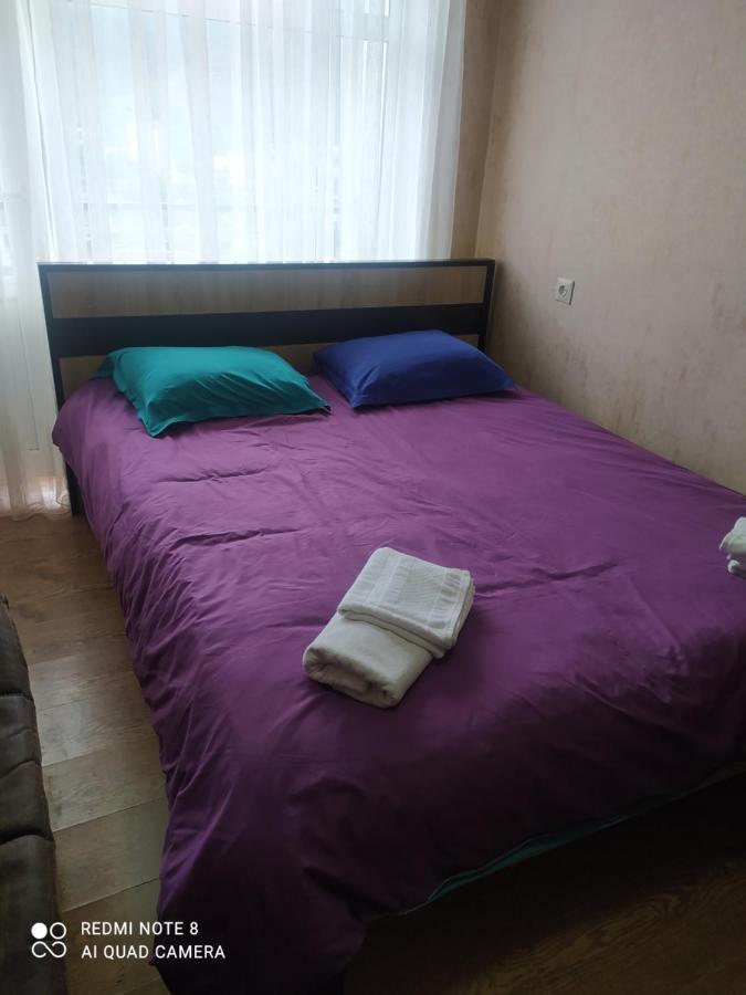 Alena'S Flat Apartment Боржоми Екстериор снимка