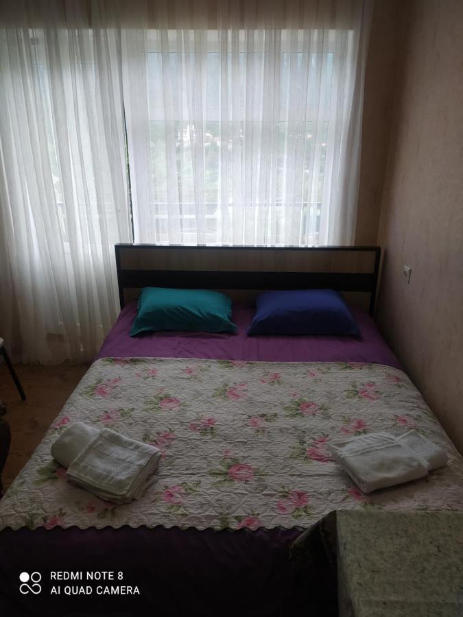 Alena'S Flat Apartment Боржоми Екстериор снимка
