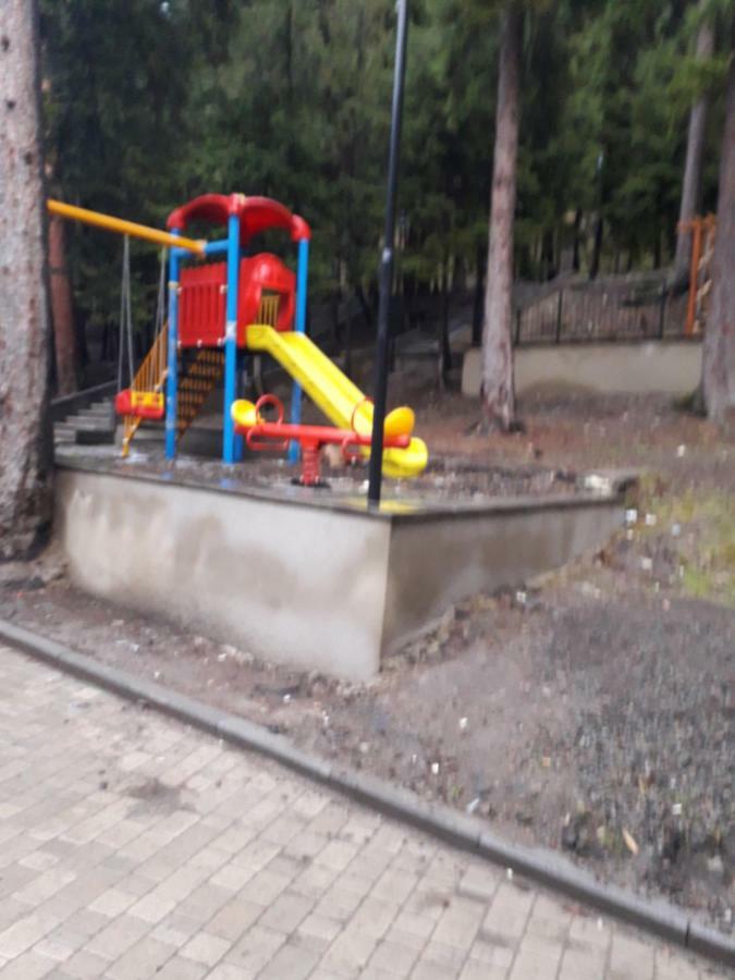 Alena'S Flat Apartment Боржоми Екстериор снимка