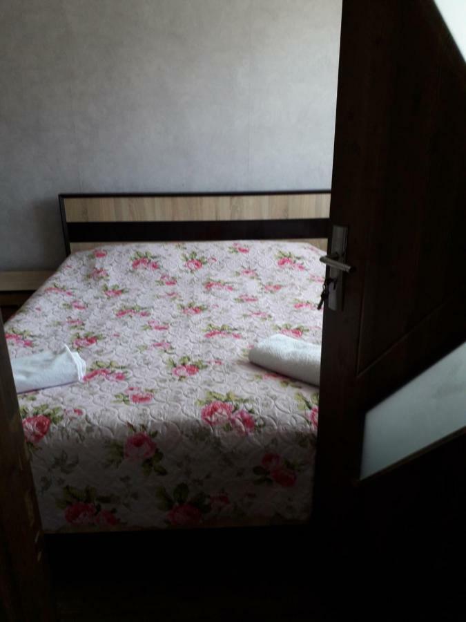 Alena'S Flat Apartment Боржоми Екстериор снимка