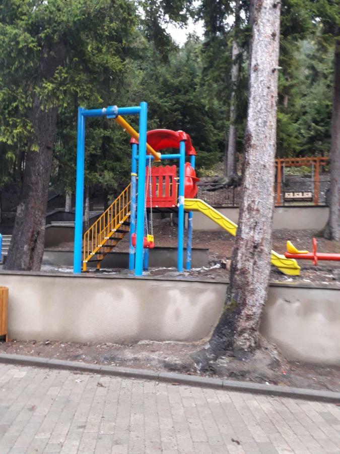 Alena'S Flat Apartment Боржоми Екстериор снимка